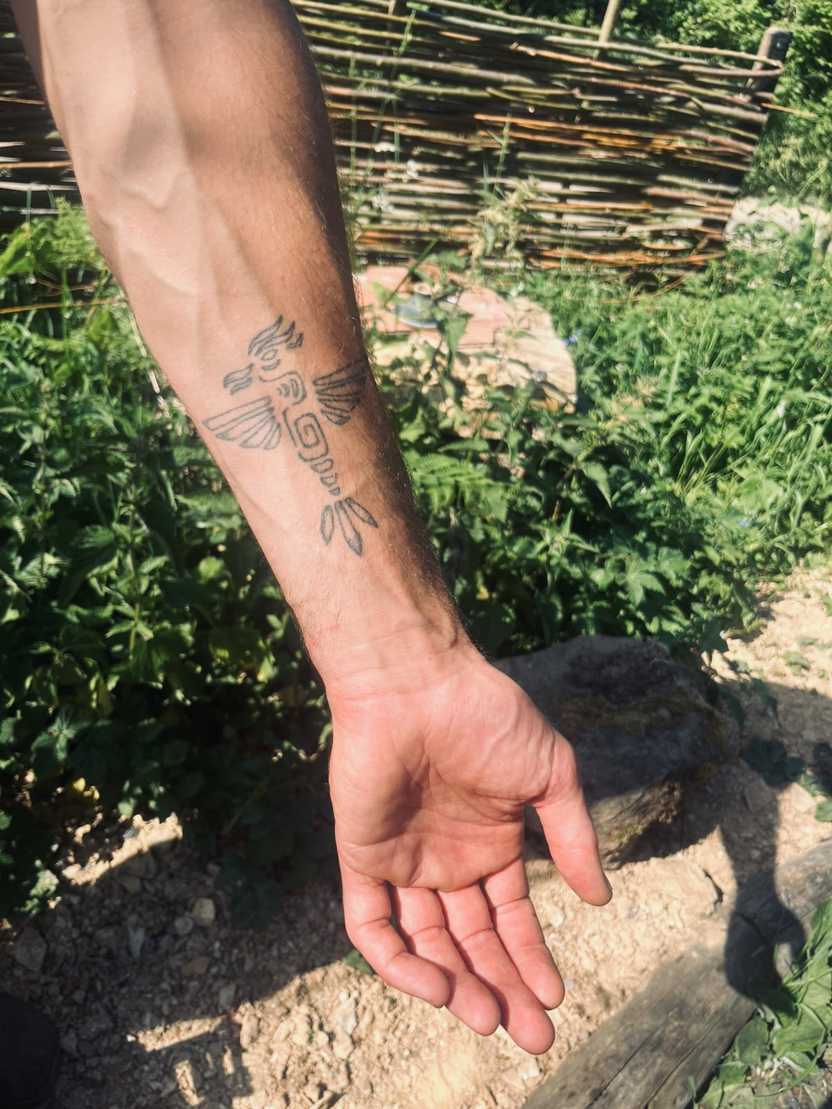 Nick — Eagle Totem
